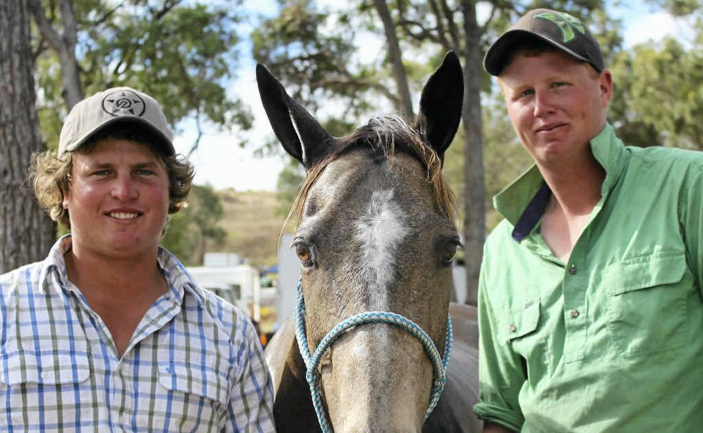 Some of the New South Welshmen have arrived at Morgan Park, including Trent Mortimer, Wayne Stevenson and Storm the horse. Some of the New South Welshmen have arrived at Morgan Park, including Trent Mortimer, Wayne Stevenson and Storm the horse.
